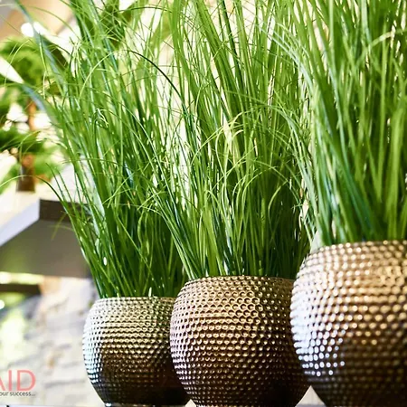 R7 Design - Hostaid *